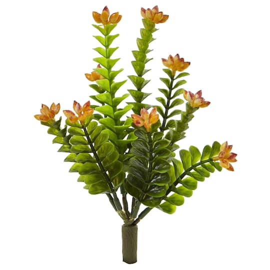 Orange Flowering Sedum Plant, 6ct.